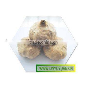 black garlic