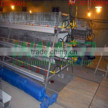 Supply Hot Sale Cheap Innaer Cock Cage for Broiler