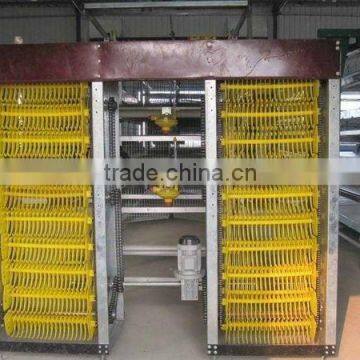 Automatic egg collector