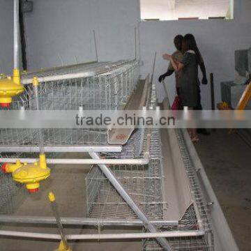 A steel galvanized frame Chicken Cage from china factory