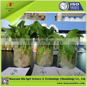 Macroelement Liquid Fertilizer With Citric Acid 150-150-200 photo-2