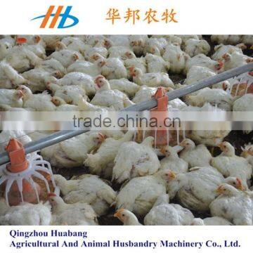 chicken farm equipment