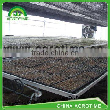 Greenhouse Movable Benching System for seeds growth For agriculture