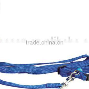 dog leash with collar