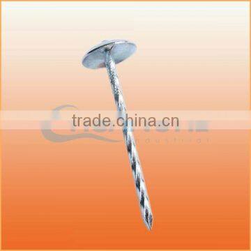 Top Quality Double Point Roofing Nails Trusted Chuanghe Suppliers From Com photo-3