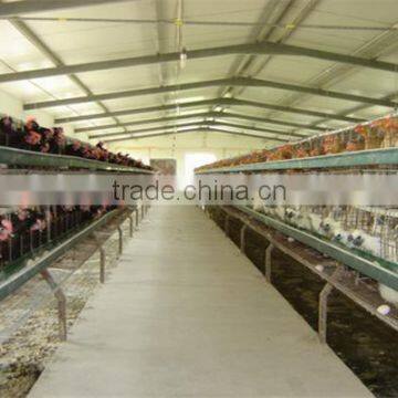 China Steel Structure Chicken House photo-5