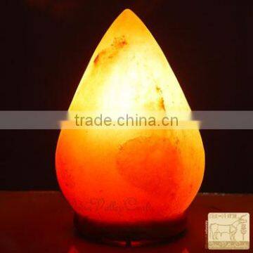 Himalayan Salt Lamp