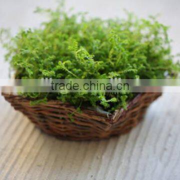 iron frame willow body wicker baskets for plants with plastic lining