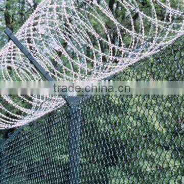 Galvanzied Barbed Iron Wire, Sharp Razor Barbed Wire From Guangzhou photo-4