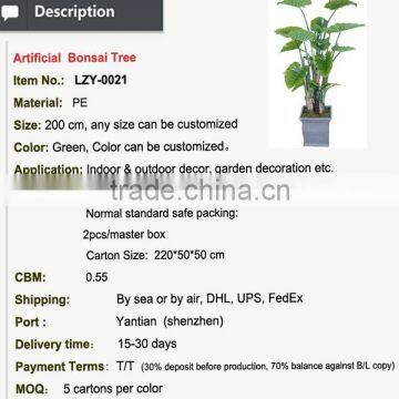Indoor Home Decorative Artificial Bonsai Tree for Sale and for Hotel and House Landscape photo-2