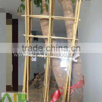 50cm Garden Bamboo Trellis for Supporting Plants photo-2