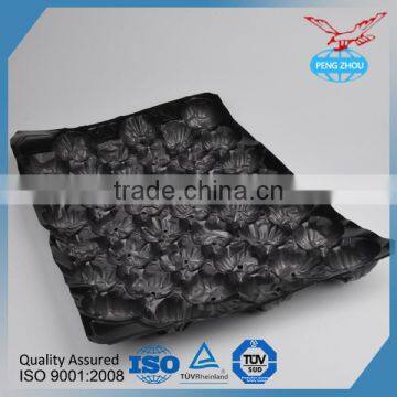 pp Corrugated Plastic Fruit Tray Divided Fruit Plastic Tray photo-6