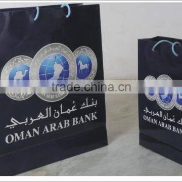 Brand Promotion Shopping Bags / Luxury Paper Bags photo-4