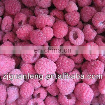 Low Price IQF Spiral Freezer Food Processing Machine photo-3