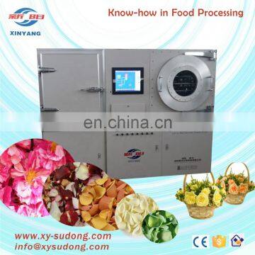 LG1.0 Lyophilization Equipment for Flowers Pilot Mini Freeze Drying Lyophilizer With 10 kg Loading Capacity