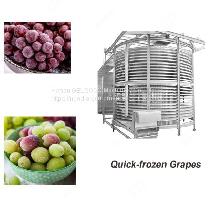 Spiral IQF Fruit And Vegetable Freezer Machine/Frozen Processing Machinery