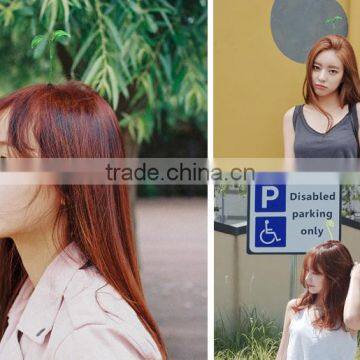 Plant Grass Head Long Grass Hair Clip Flower Sprouts Flower Hairpin photo-4