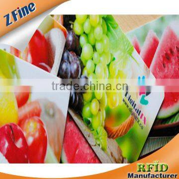 2013 Plastic PVC RFID Proximity Card