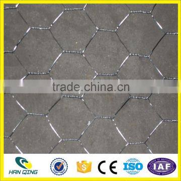 Weave Mesh Type and Hexagonal Hole Shape Hexagonal Wire Mesh for Zoo Bird Cages photo-5