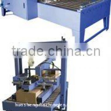 Auto Carton Loading Machine