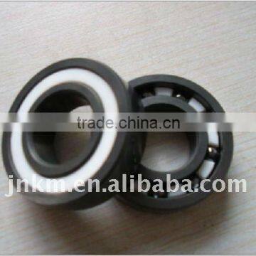 Professional Full Ceramic Ball Bearing 6000