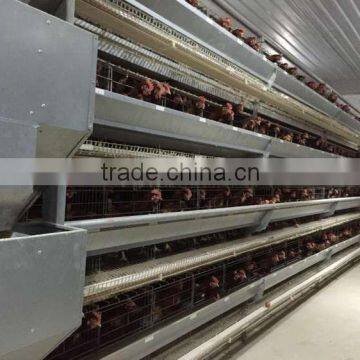 layer feeding equipment layer cage