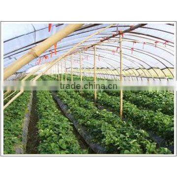 Greenhouse film