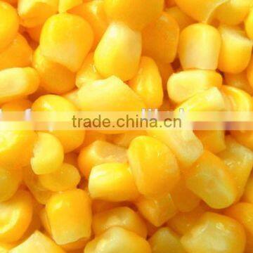 FROZEN SWEET CORN KERNEL photo-4