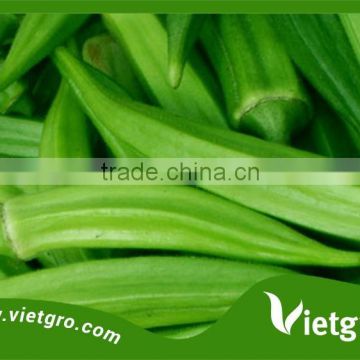 HIGH YIELD F1 HYBRID OKRA SEEDS FOR PLANTING VGO031/ VEGETABLE SEEDS