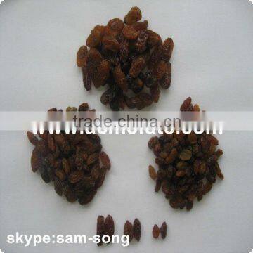 AAA Grade 95% Xinjiang Brown Raisin photo-4
