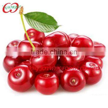 2014 new crop Canned cherry fresh fruit in syrup manufacturer