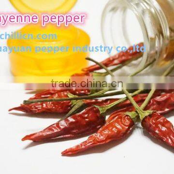 Red Cayenne Pepper photo-2