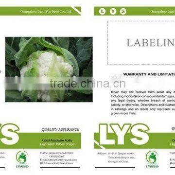 MCF11 Changfu Snowy White Flower Hybrid Cauliflower Seeds f1 photo-2