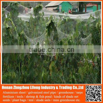 wholesale hdpe anti uv greenhouse anti bird net , nylon agricultural bird netting , plastic green bird control screen mesh net