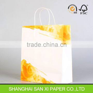 Documents carry paper bag, twisted handle paper carrier bag for documents