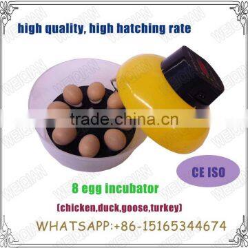 egg incubators prices in China WQ-8