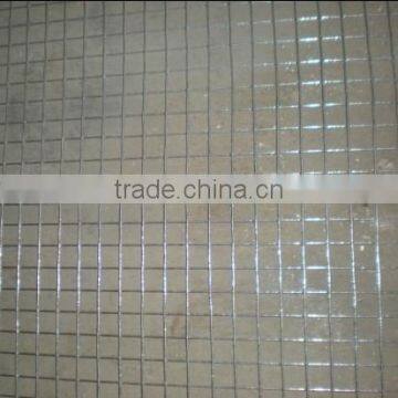 galvanized square wire mesh/stainless steel square wire mesh