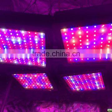 Top Rated ETL Listed Marshydro 1600 Grow LED Lights Full Spectrum LED Grow Light For Indoor Hydroponics Vertical Systems photo-2