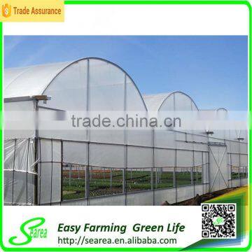 Economical Plastic Agriculture Greenhouse photo-2