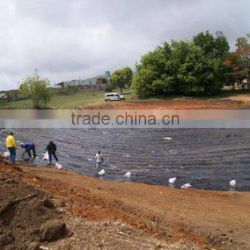 Factory Price HDPE Geomembrane Films photo-2
