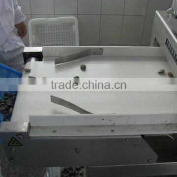 Cooked V-packed Baby Clam photo-6