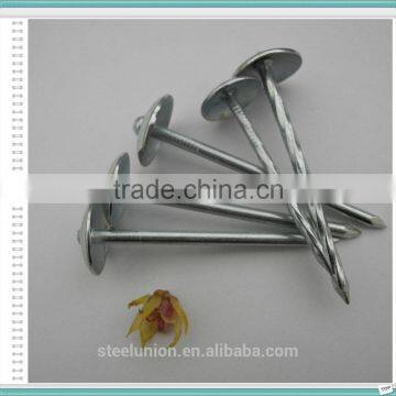 Roofing Nails Umbrella Head/Galvanized Roofing Nails Price/Roofing Nails