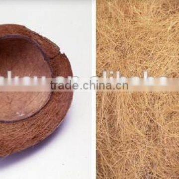 Popular Hot Selling High Quality Comfortable Healthy Natural Rubberized Coir Sheet and Sofa Industry