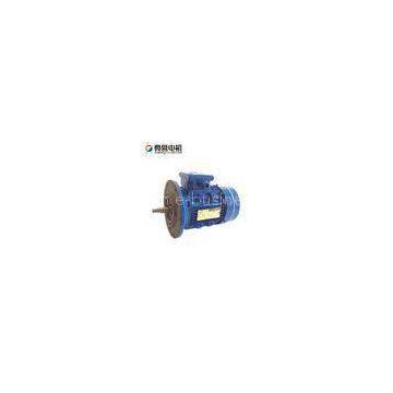 OEM Three Phase Electric Induction Motors Energy - Saving With CCC CE