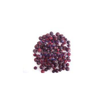 Freeze Dried Black Currant