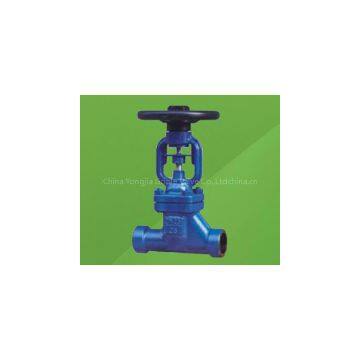 DIN forged bellows seal globe valve