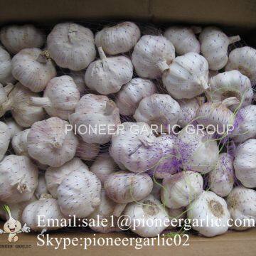 4.5-5cm, 5.5cm-6cm Ajo Blanco Normal Fresco Chino Con Embalaje Cajas de Cartón photo-3