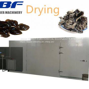 Energy-Saving Air Source Heat Pump Dryer for friut fungus vegetables Similar Nature Drying System