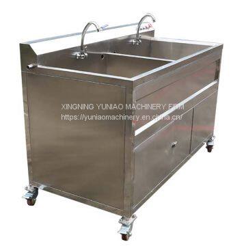 Hot sale stainless steel blueberry fruit washing machine lemon washer  WT/8613824555378