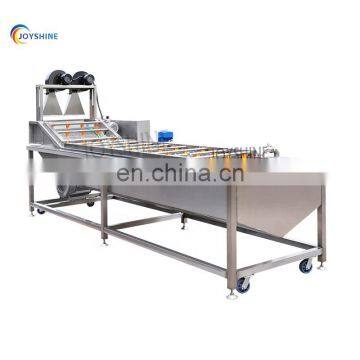 Automatic Conveyor Belt Industrial Apple Lemon Fruit Vegetable Washer Machine Lavadora de Frutas photo-2